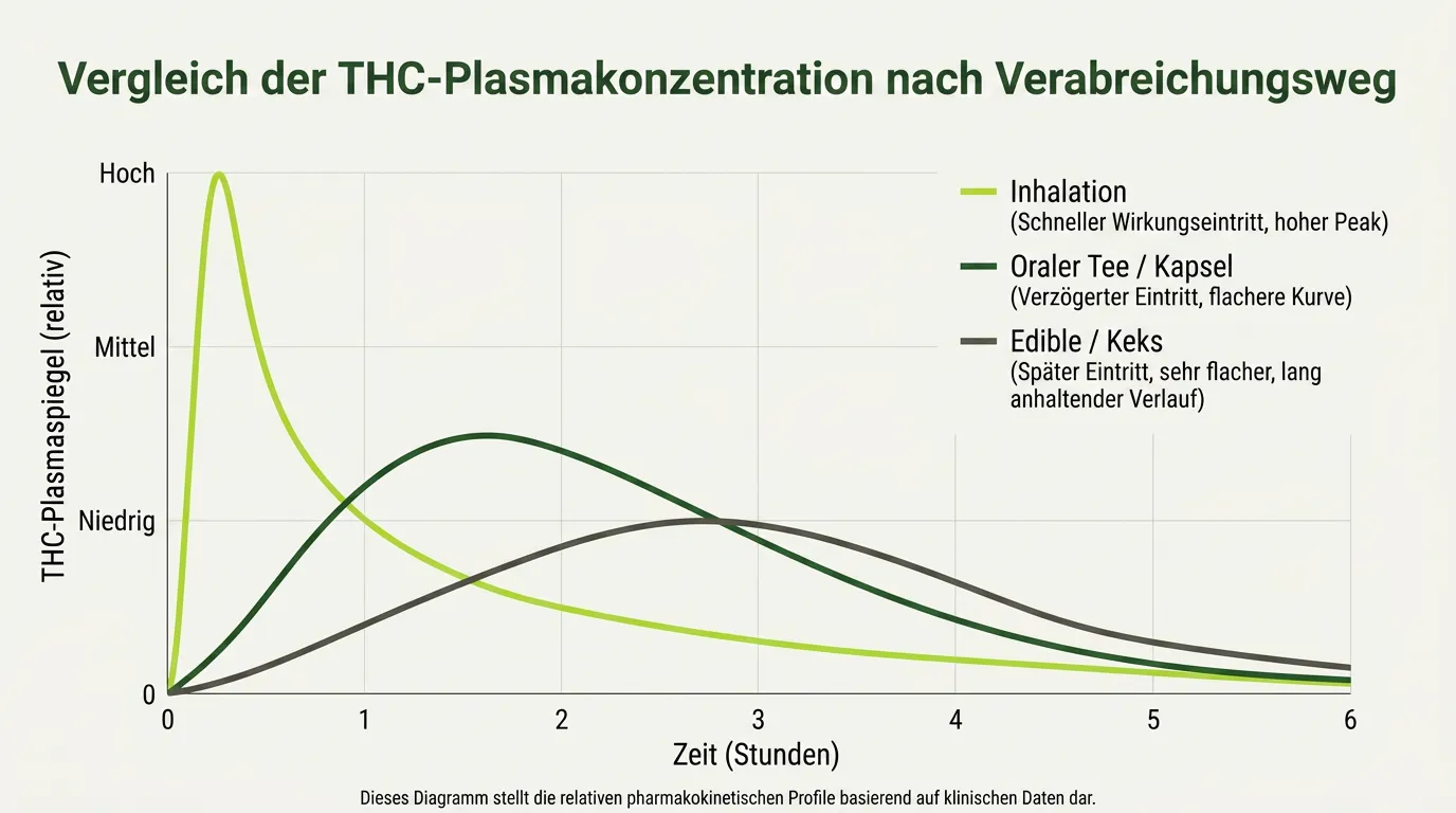 Diagramm vergleicht THC-Plasmaspiegel nach Inhalation, Tee und Edibles über sechs Stunden