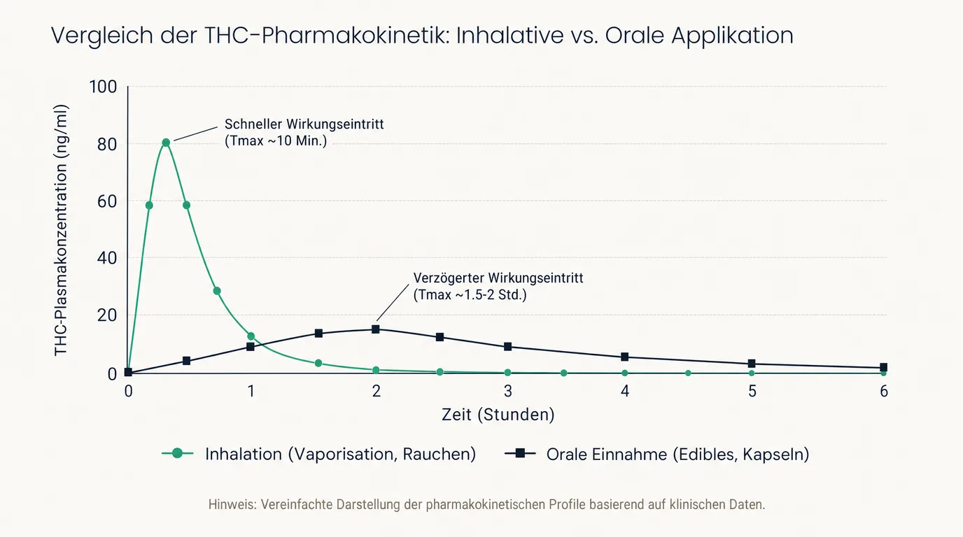 Liniendiagramm, das den schnellen, hohen THC-Peak nach Inhalation mit dem niedrigeren, verzögerten THC-Verlauf nach oraler Einnahme vergleicht.